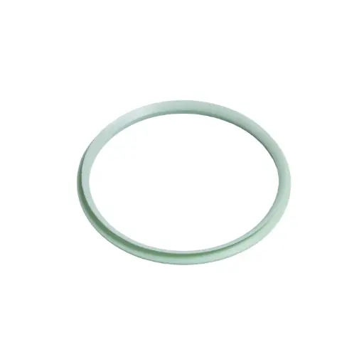 V2 Freewheel lip seal