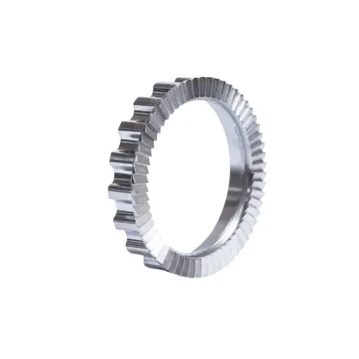Ratchet Inox