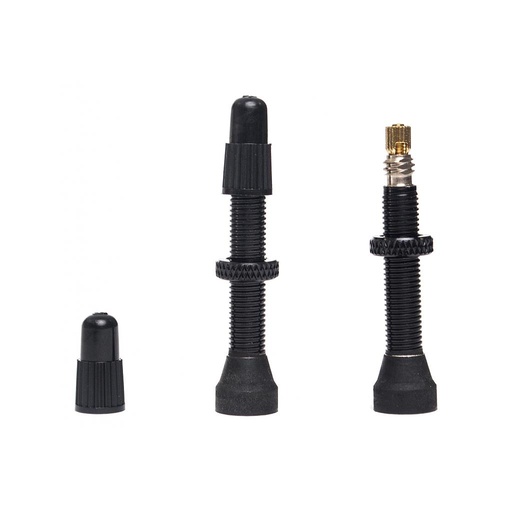 Black Tubeless Valve